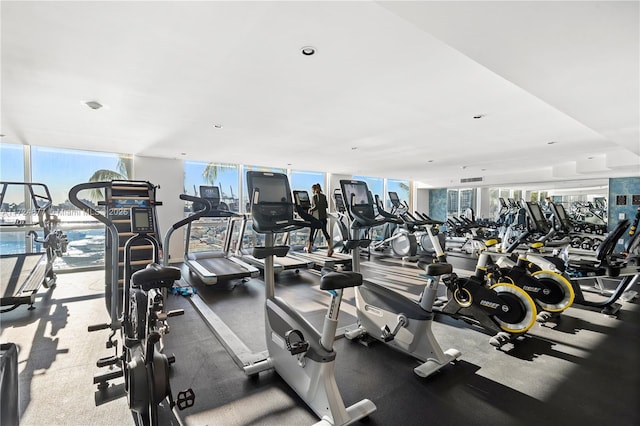 workout area featuring a wealth of natural light and a wall of windows