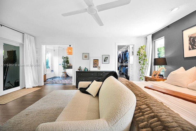 bedroom with access to outside, dark hardwood / wood-style floors, a closet, a walk in closet, and ceiling fan