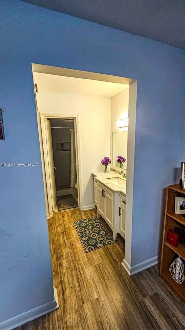 bathroom featuring wood-type flooring and vanity