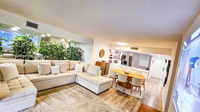 living room with light hardwood / wood-style floors