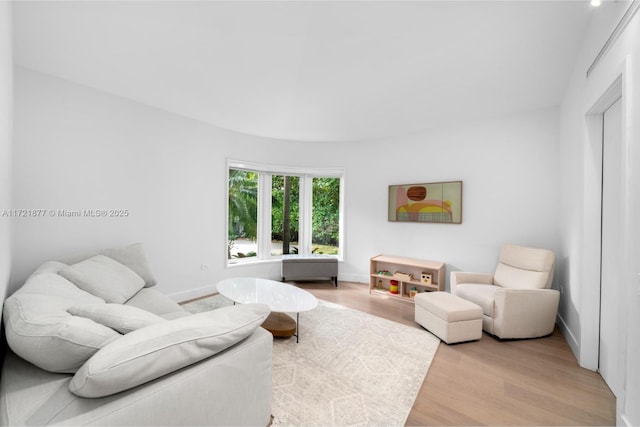 living room featuring light wood-type flooring