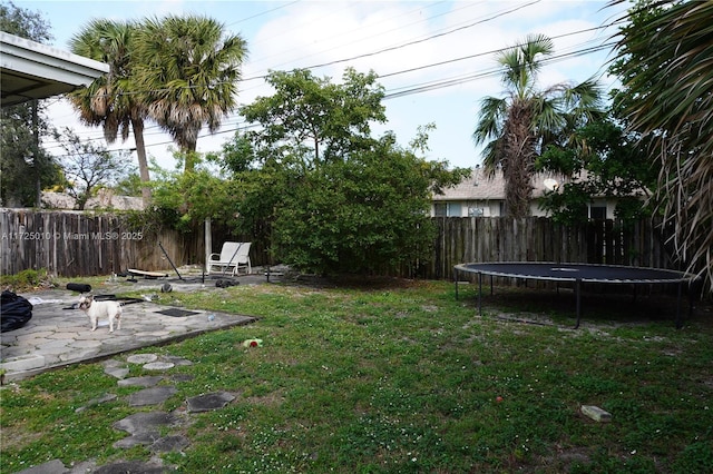 view of yard with a patio area and a trampoline