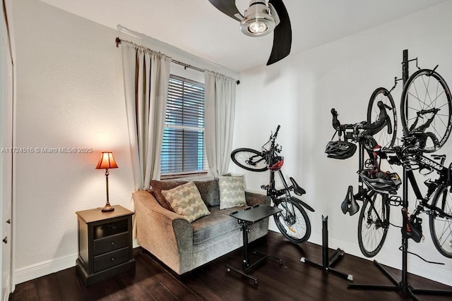 exercise room with dark wood-type flooring and ceiling fan