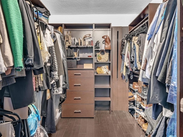 view of walk in closet