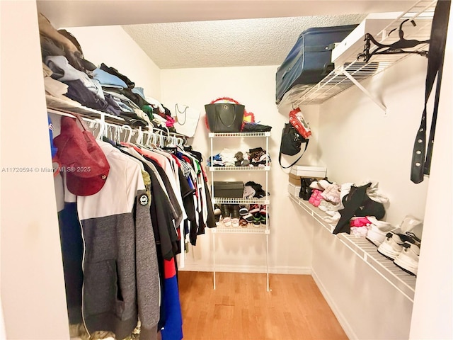 walk in closet featuring wood-type flooring