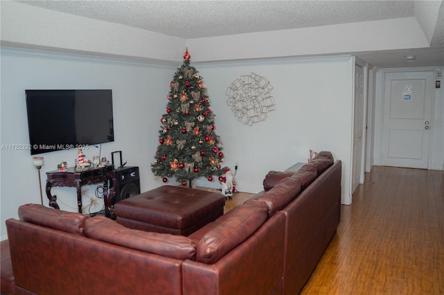 living room featuring a textured ceiling and hardwood / wood-style flooring