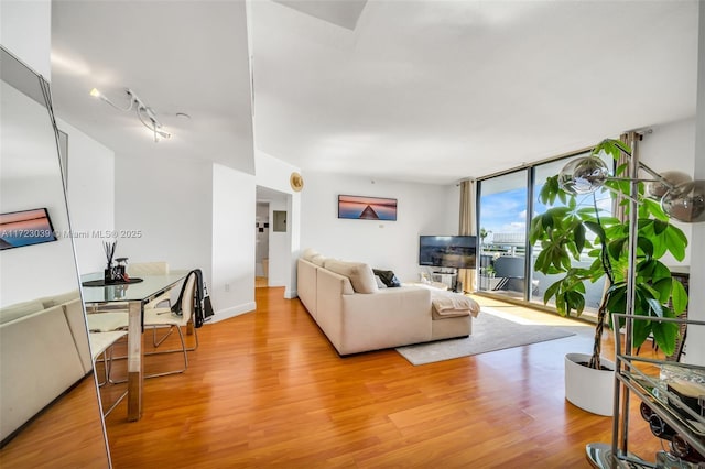 living room with rail lighting, light hardwood / wood-style floors, and expansive windows