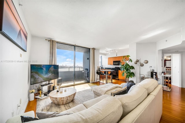 living room featuring a wall of windows and hardwood / wood-style flooring