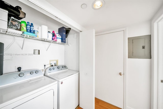 laundry room with washer and dryer, light wood-type flooring, and electric panel