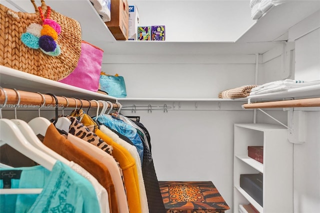 view of spacious closet