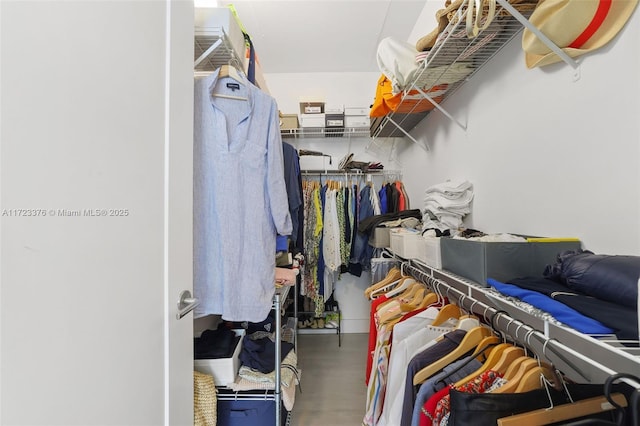 walk in closet with wood finished floors