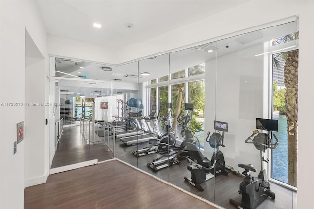 exercise room featuring a wealth of natural light and wood finished floors