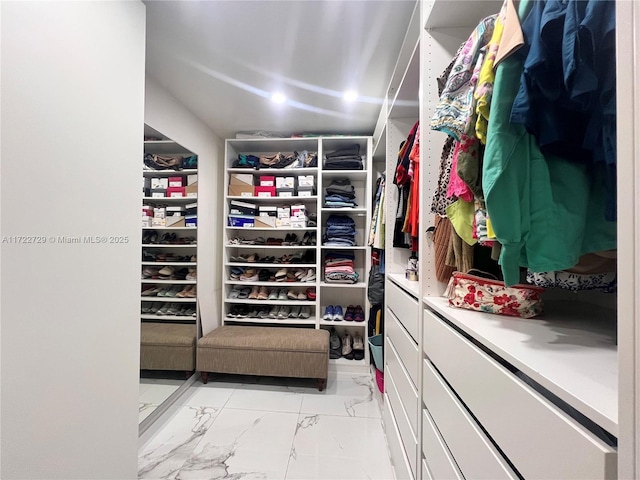 view of spacious closet