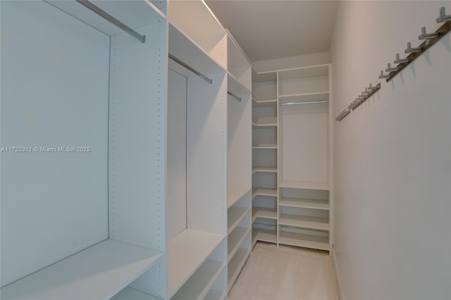 view of walk in closet