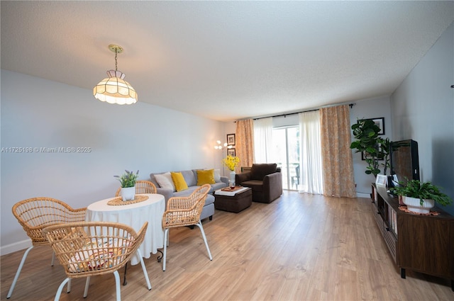 living room with light hardwood / wood-style flooring