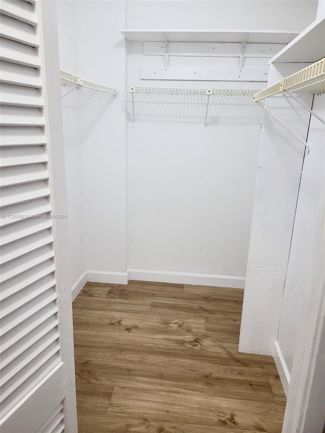 walk in closet with hardwood / wood-style flooring