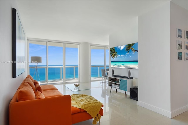 living room with a healthy amount of sunlight and expansive windows