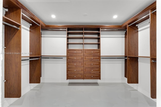 view of spacious closet