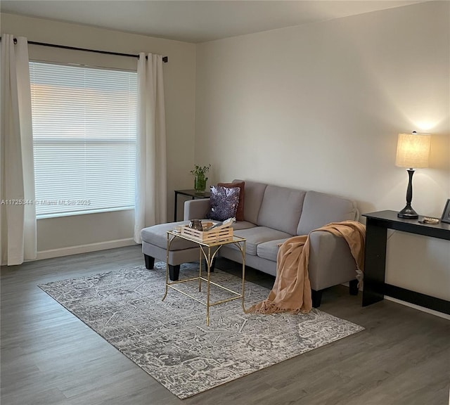 living room with hardwood / wood-style flooring