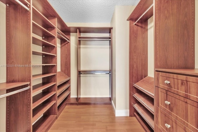 spacious closet with light wood-type flooring