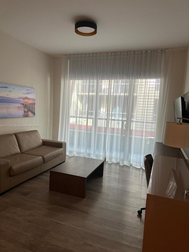 living room with hardwood / wood-style flooring