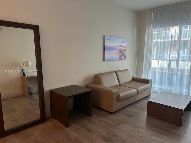 living room featuring hardwood / wood-style floors