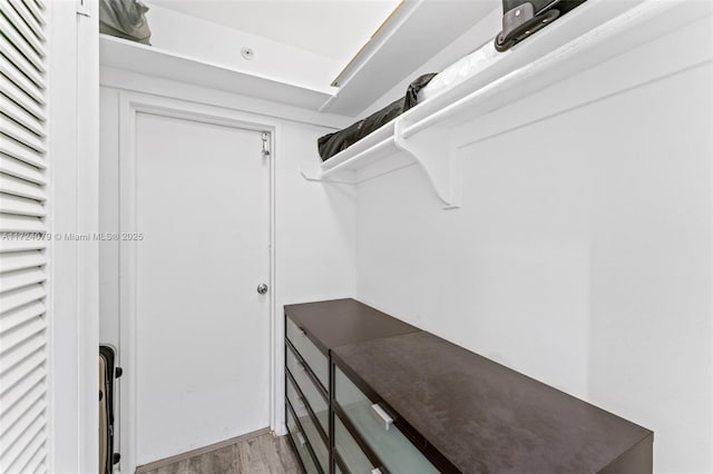 3 Island Ave Pha, Pha, Miami Beach, FL 33139 - spacious closet featuring light wood-style floors