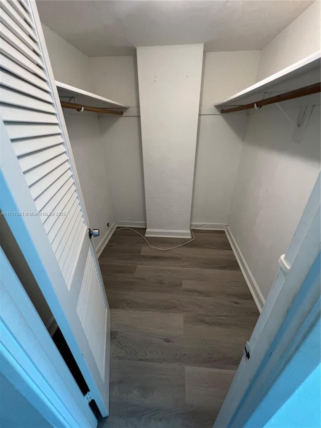 spacious closet featuring dark hardwood / wood-style flooring