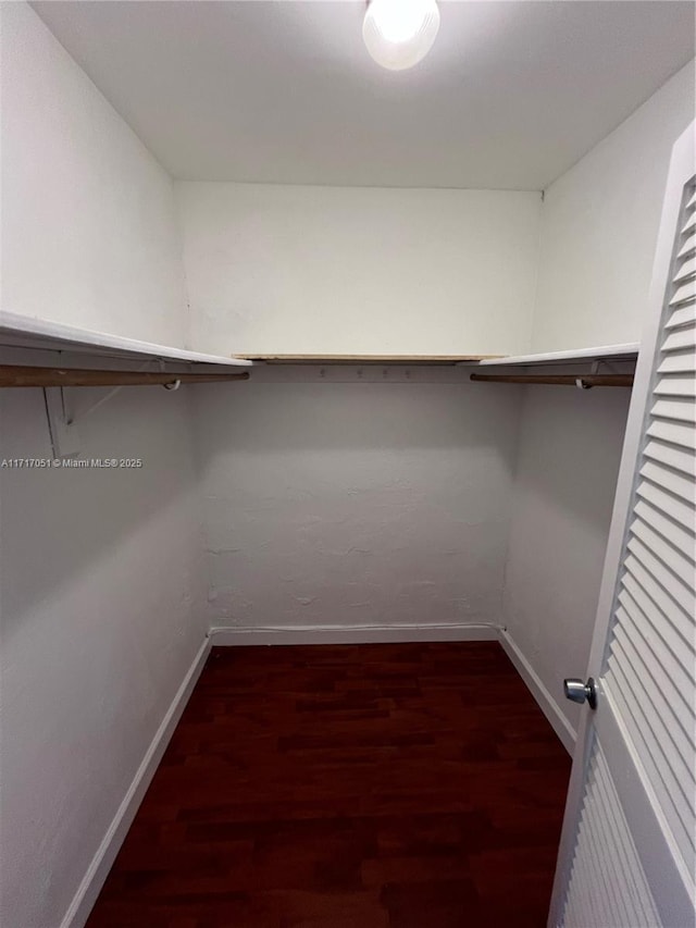 spacious closet with dark hardwood / wood-style flooring