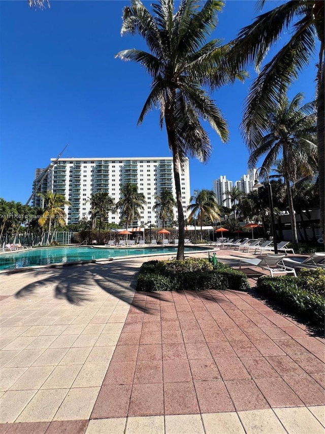 view of swimming pool