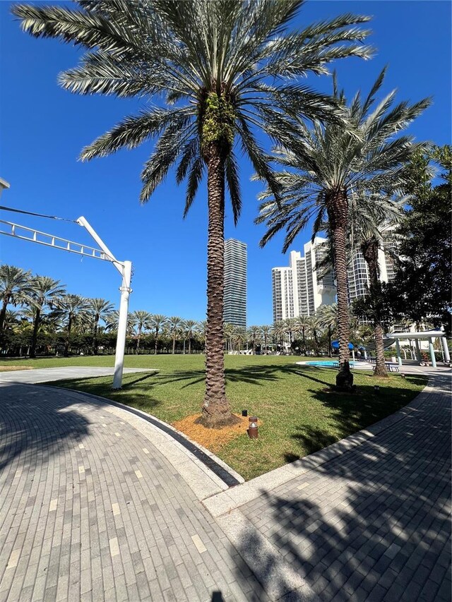 view of community with a lawn