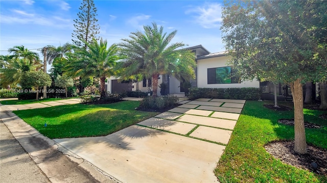 obstructed view of property with a front lawn