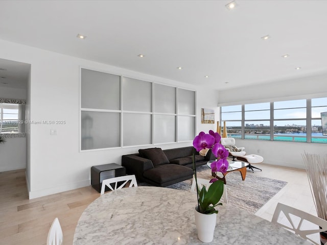 living room featuring light hardwood / wood-style floors