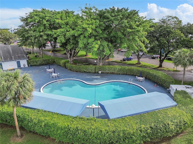 view of swimming pool featuring a patio area