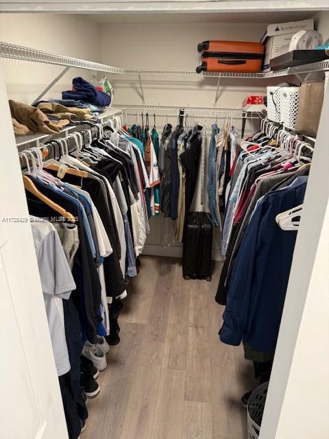 walk in closet with wood-type flooring