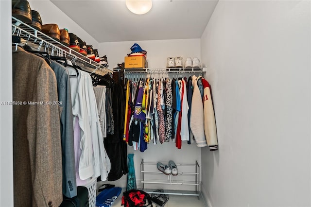 view of spacious closet