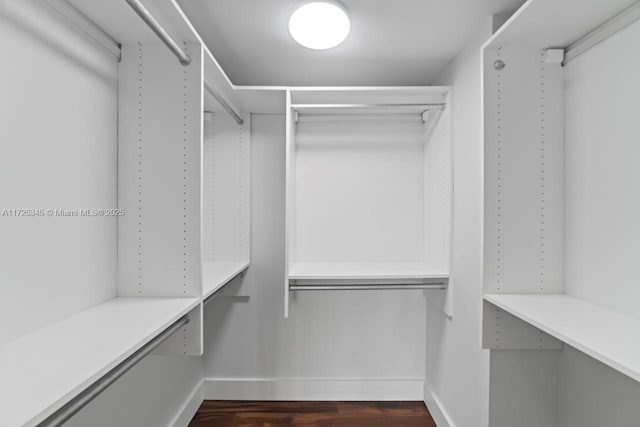 spacious closet featuring dark wood-type flooring