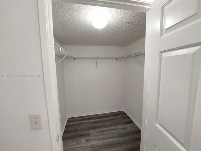 walk in closet with dark hardwood / wood-style flooring