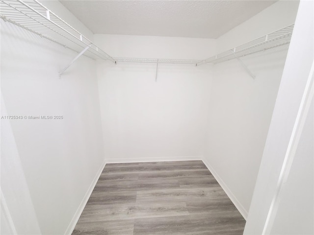 spacious closet featuring wood finished floors