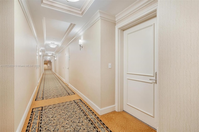 corridor featuring ornamental molding