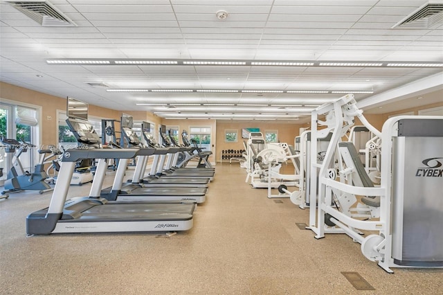 workout area featuring a healthy amount of sunlight