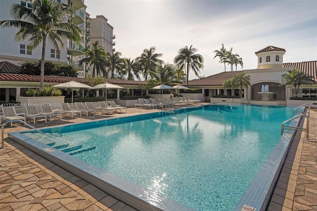 view of pool featuring a patio