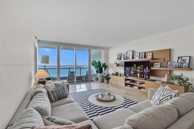 living room featuring expansive windows