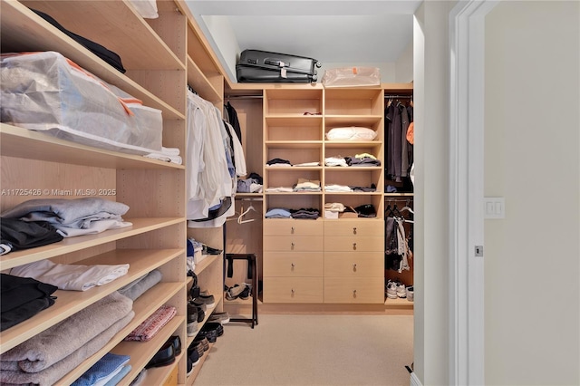 walk in closet with light colored carpet