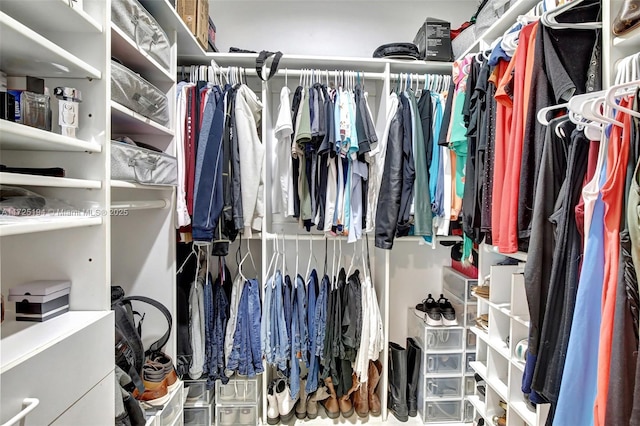 view of spacious closet