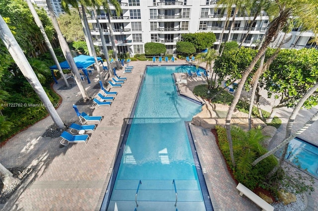 view of swimming pool with a patio area