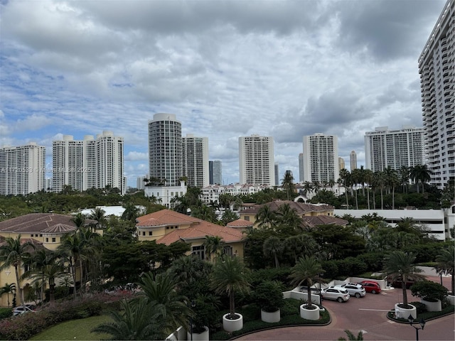 property's view of city