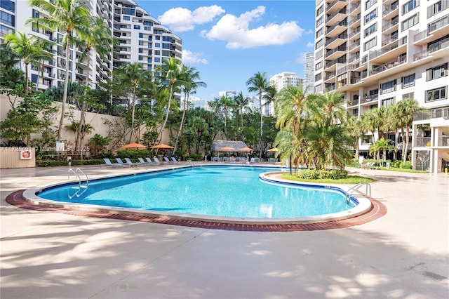 view of swimming pool with a patio