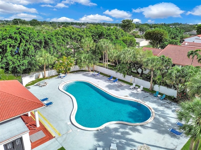 view of swimming pool with a patio