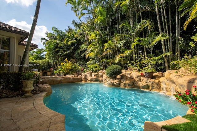 view of outdoor pool